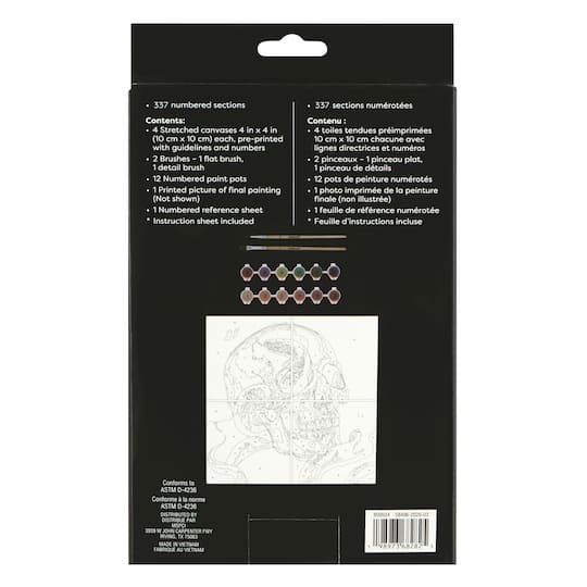 Skull & Snake Paint-by-Number Gallery Mini Kit by Artist's Loft®